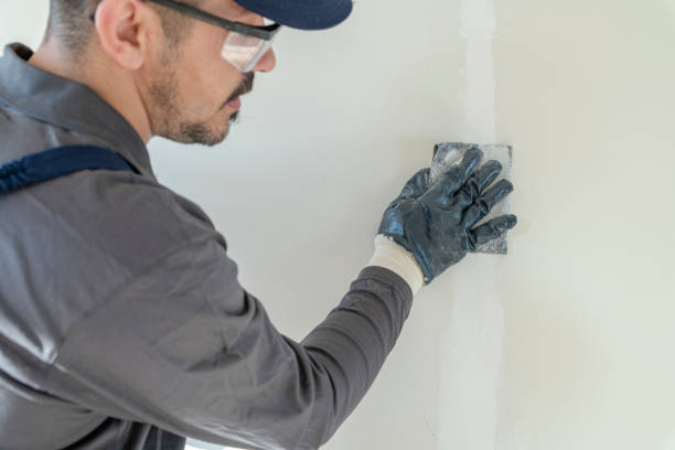 Best Comprehensive Air Testing for Mold Contaminants  in Hayesville, OR