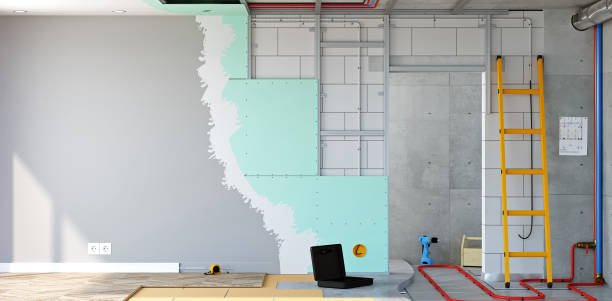 Hayesville, OR Mold Removal Company